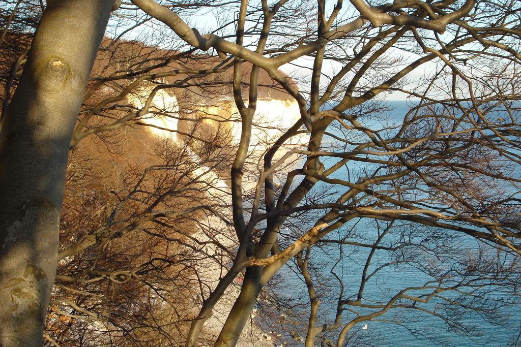 Ferienwohnung In Sassnitz Ruegen Naehe Weltnaturerbe Kreidekueste Ngoại thất bức ảnh