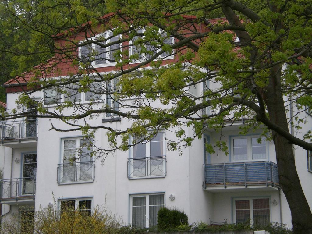 Ferienwohnung In Sassnitz Ruegen Naehe Weltnaturerbe Kreidekueste Ngoại thất bức ảnh