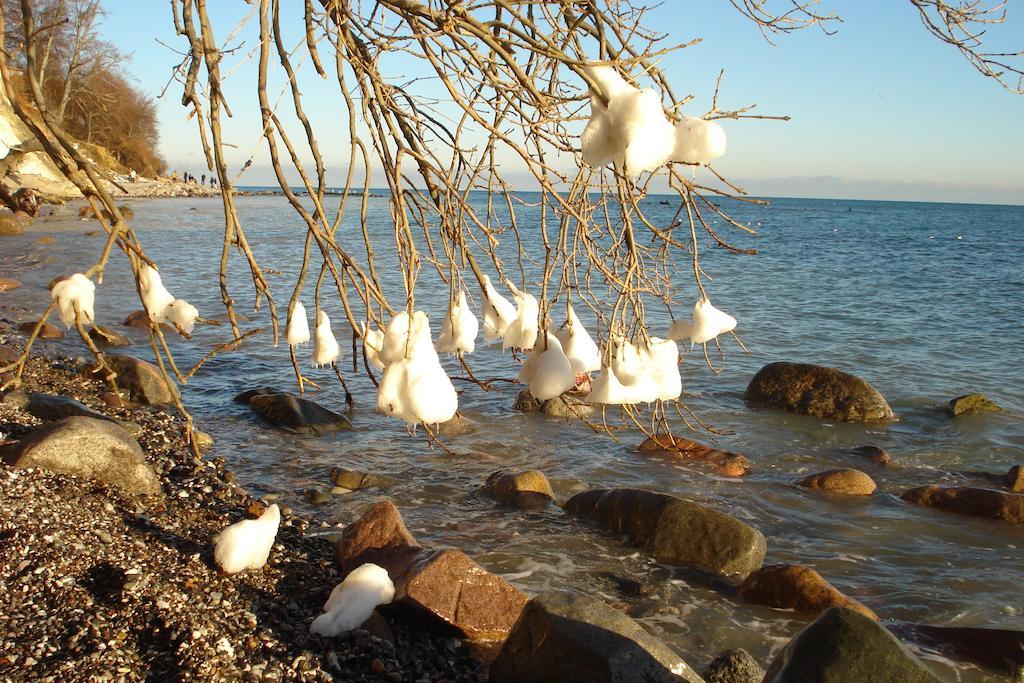 Ferienwohnung In Sassnitz Ruegen Naehe Weltnaturerbe Kreidekueste Ngoại thất bức ảnh