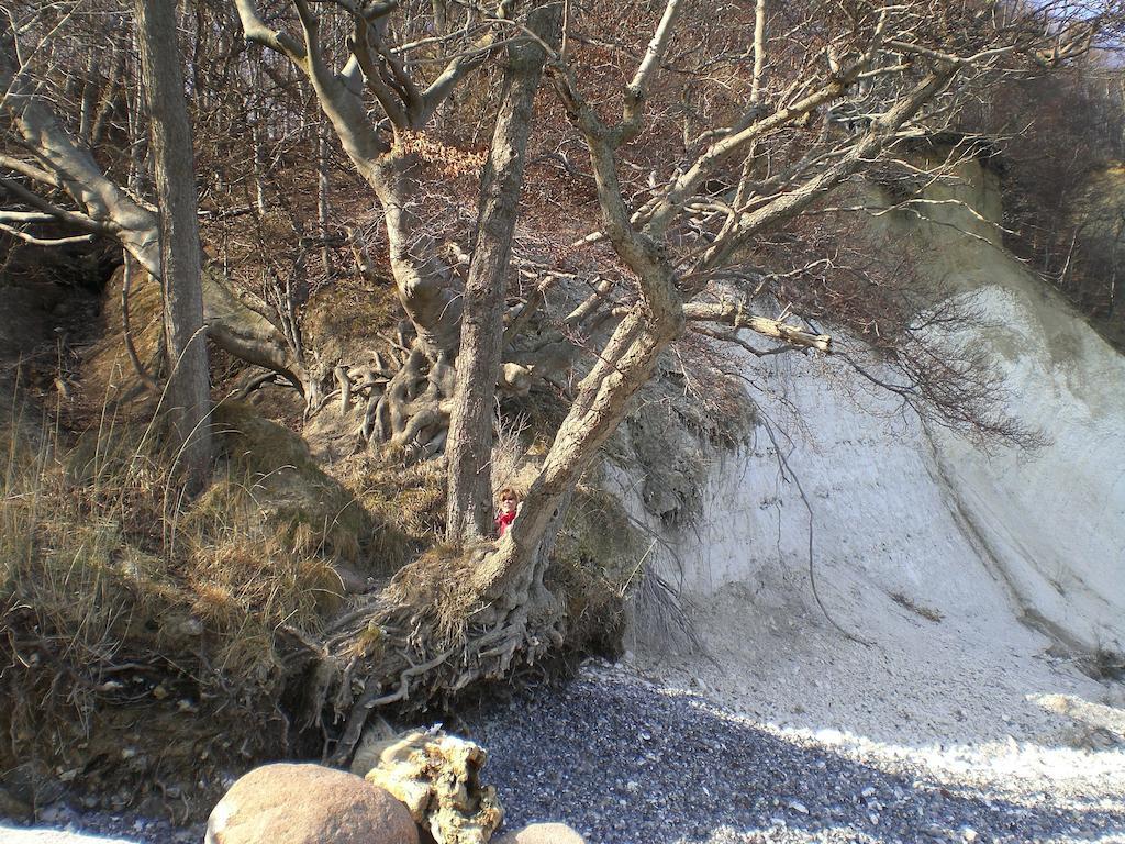 Ferienwohnung In Sassnitz Ruegen Naehe Weltnaturerbe Kreidekueste Ngoại thất bức ảnh