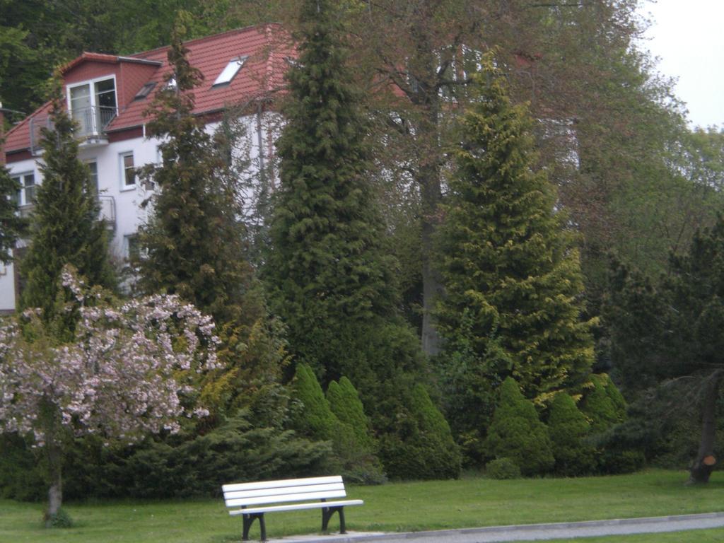 Ferienwohnung In Sassnitz Ruegen Naehe Weltnaturerbe Kreidekueste Ngoại thất bức ảnh