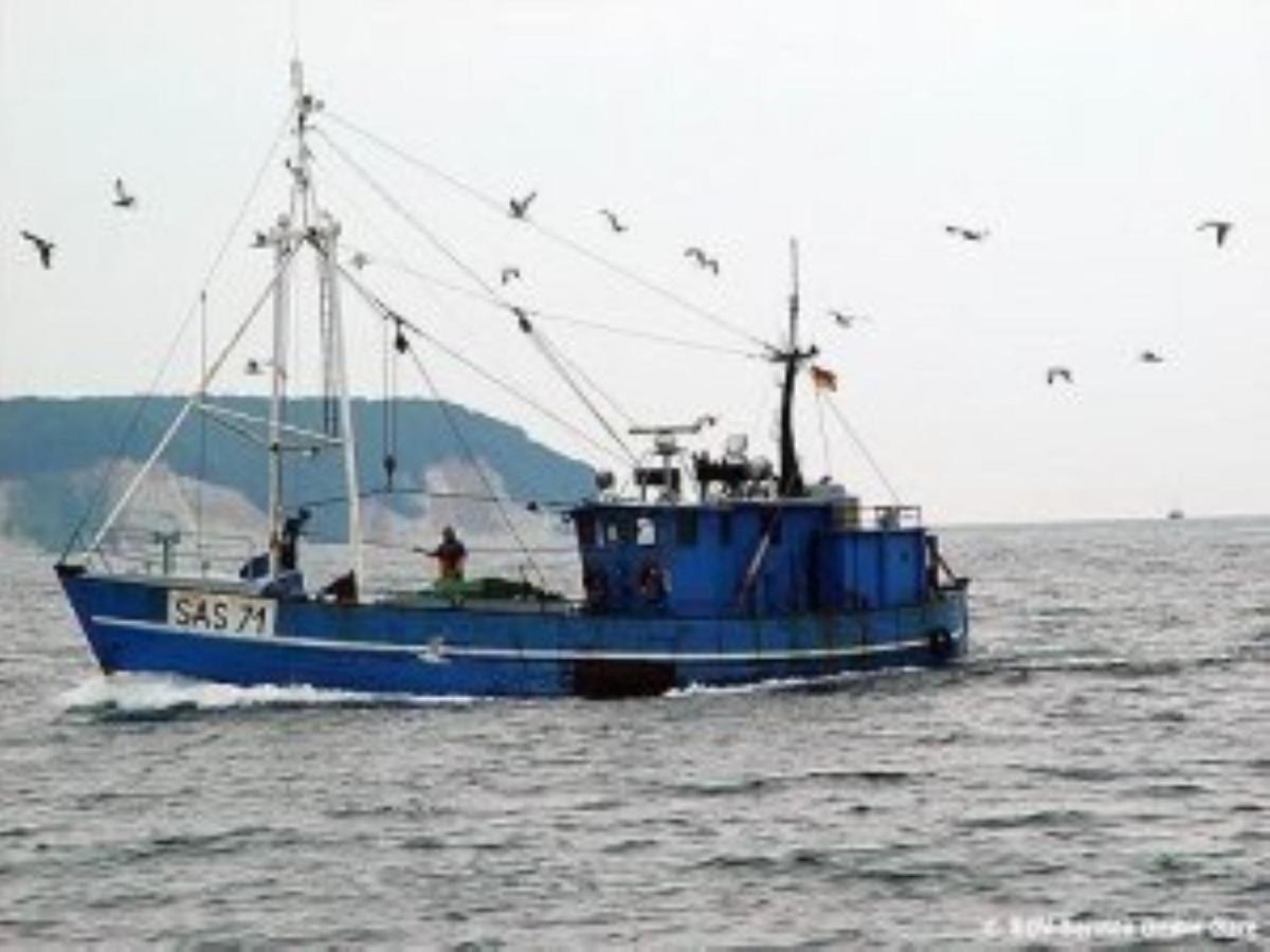 Ferienwohnung In Sassnitz Ruegen Naehe Weltnaturerbe Kreidekueste Ngoại thất bức ảnh
